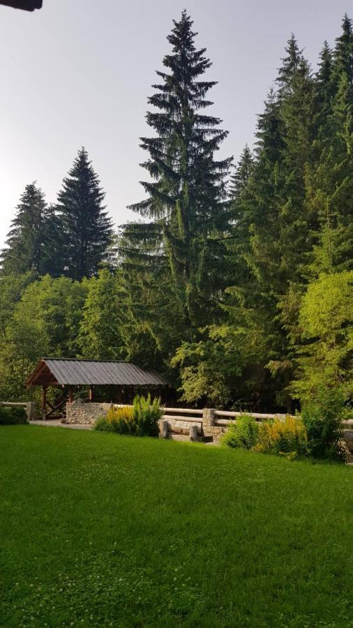 Cheremosh Yablunytsya Exterior foto
